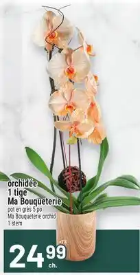 Metro ORCHIDÉE 1 TIGE MA BOUQUETERIE | MA BOUQUETERIE ORCHID 1 STEM offer