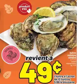 Metro HUÎTRES MALPÈQUE STANDARD | STANDARD MALPEQUE OYSTERS offer
