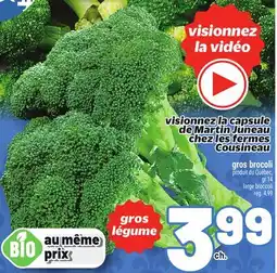 Metro GROS BROCOLI | LARGE BROCCOLI offer
