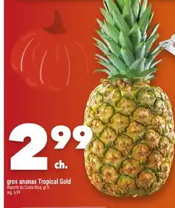 Marche Ami GROS ANANAS TROPICAL GOLD offer