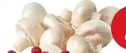 Giant Tiger whole white mushrooms offer