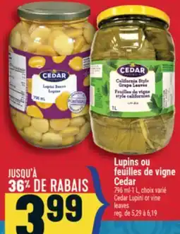 Marché Adonis Lupins ou feuilles de vigne Cedar | Cedar Lupini or vine leaves offer