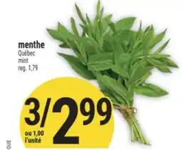 Marché Adonis MENTHE | MINT offer