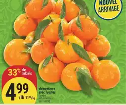 Marché Adonis CLÉMENTINES AVEC FEUILLES | LEAF CLEMENTINES offer