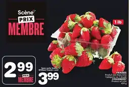 Marches Tradition STRAWBERRY offer