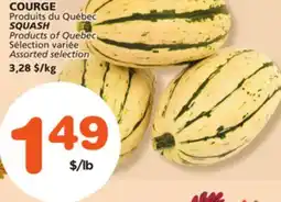 Marches Tradition SQUASH offer