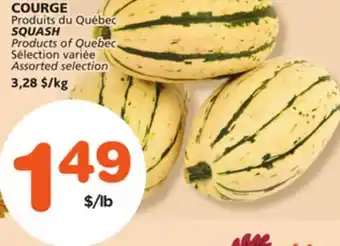 Marches Tradition SQUASH offer