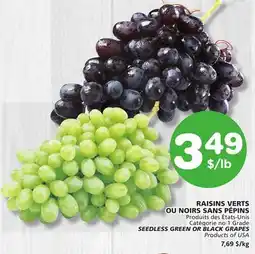 Marches Tradition SEEDLESS GREEN OR BLACK GRAPES BLACK offer