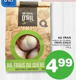 Marches Tradition FRESH GARLIC offer