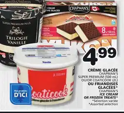 Marches Tradition CHAPMAN'S ICE CREAM OR FROZEN TREATS Sélection offer
