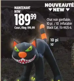 Canadian Tire 10´ Inflatable Black Cat offer
