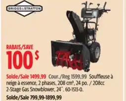 Canadian Tire Briggs & Stratton 208cc 2-Stage Gas Snowblower, 24˝ offer
