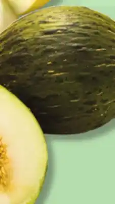 IGA CANARI MELON offer