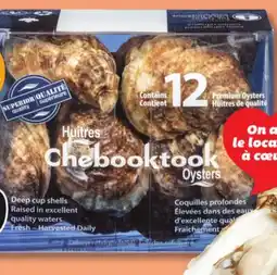 IGA COCKTAIL CHEBOOKTOOK OYSTERS offer