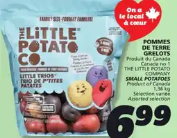 IGA THE LITTLE POTATO COMPANY SMALL POTATOES offer