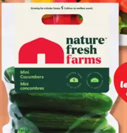 IGA SEEDLESS MINI CUCUMBERS offer
