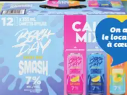 IGA BEACH DAY EVERY DAY ALCOHOLIC MALT BEVERAGE offer