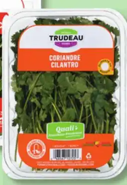 IGA FRESH BASIL, CILANTRO, DILL, MINT, CURLY PARSLEY OR ITALIAN PARSLEY OR POULTRY HERB BLEND offer