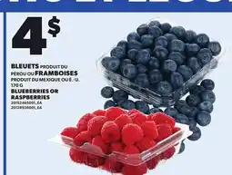 Provigo BLUEBERRIES OR RASPBERRIES, 170 G offer