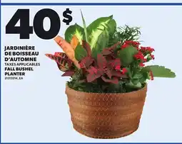 Provigo FALL BUSHEL PLANTER offer