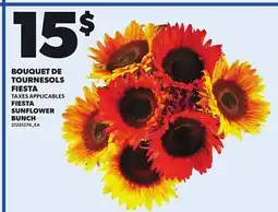 Provigo FIESTA SUNFLOWER BUNCH offer