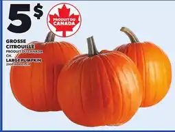 Provigo LARGE PUMPKIN offer