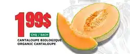 Marches Tau Cantaloupe Biologique offer