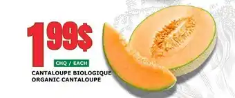 Marches Tau Cantaloupe Biologique offer
