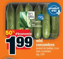 Super C mini concombres | mini cucumbers offer