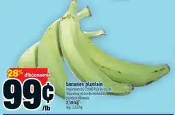 Super C plantain bananas | plantain bananas offer