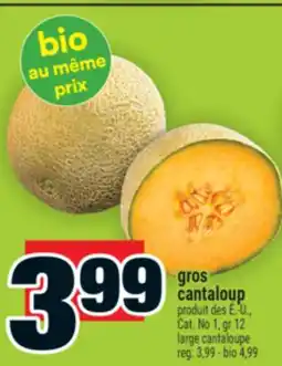 Super C cantaloup | large cantaloupe offer