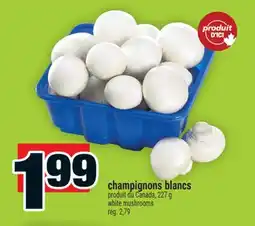 Super C champignons blancs | white mushrooms offer