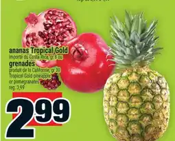 Super C ananas Tropical Gold | Tropical Gold pineapple offer