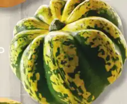 IGA SQUASHES offer