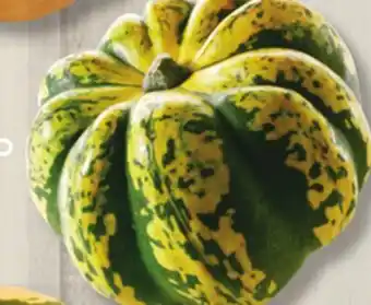 IGA SQUASHES offer