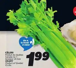 IGA CELERY offer