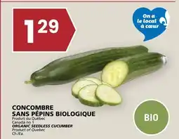 Rachelle-Bery Grocery ORGANIC SEEDLESS CUCUMBER offer