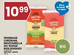 Rachelle-Bery Grocery L'ANCÊTRE ORGANIC CHEESE offer