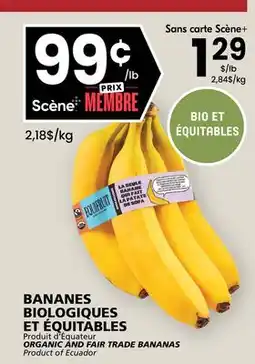 Rachelle-Bery Grocery ORGANIC AND FAIR TRADE BANANAS offer