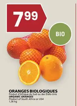 Rachelle-Bery Grocery ORGANIC ORANGES offer