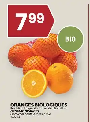 Rachelle-Bery Grocery ORGANIC ORANGES offer