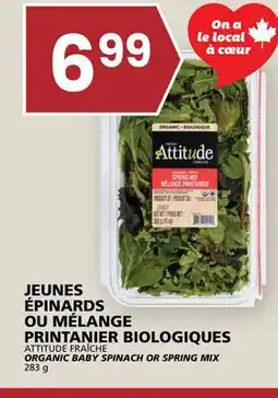 Rachelle-Bery Grocery ATTITUDE FRAÎCHE ORGANIC BABY SPINACH OR SPRING MIX offer