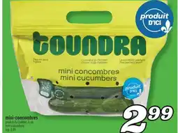 Marché Richelieu MINI-CONCOMBRES | MINI CUCUMBERS offer