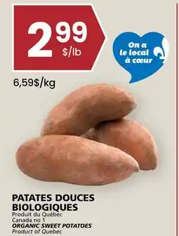 Rachelle-Bery Grocery ORGANIC SWEET POTATOES offer