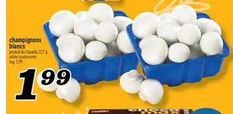 Marché Richelieu CHAMPIGNONS BLANCS | WHITE MUSHROOMS offer
