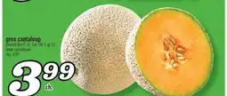 Marché Richelieu GROS CANTALOUP | LARGE CANTALOUPE offer