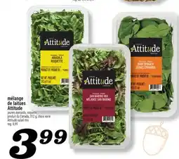 Marché Richelieu MÉLANGE DE LAITUES ATTITUDE | ATTITUDE SALAD MIX offer