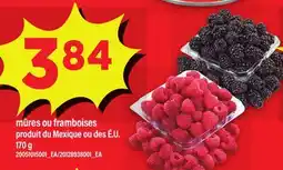Maxi MÛRES OU FRAMBOISES offer