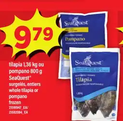 Maxi TILAPIA 1,36 KG OU POMPANO 800 G SEAQUEST SURGELÉS, ENTIERS | WHOLE TILAPIA OR POMPANO offer