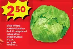 Maxi LAITUE ICEBERG | ICEBERG LETTUCE offer